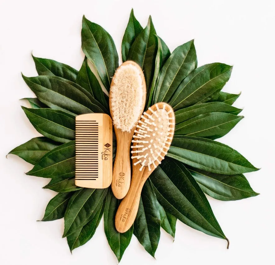 3-Piece Brush Set
