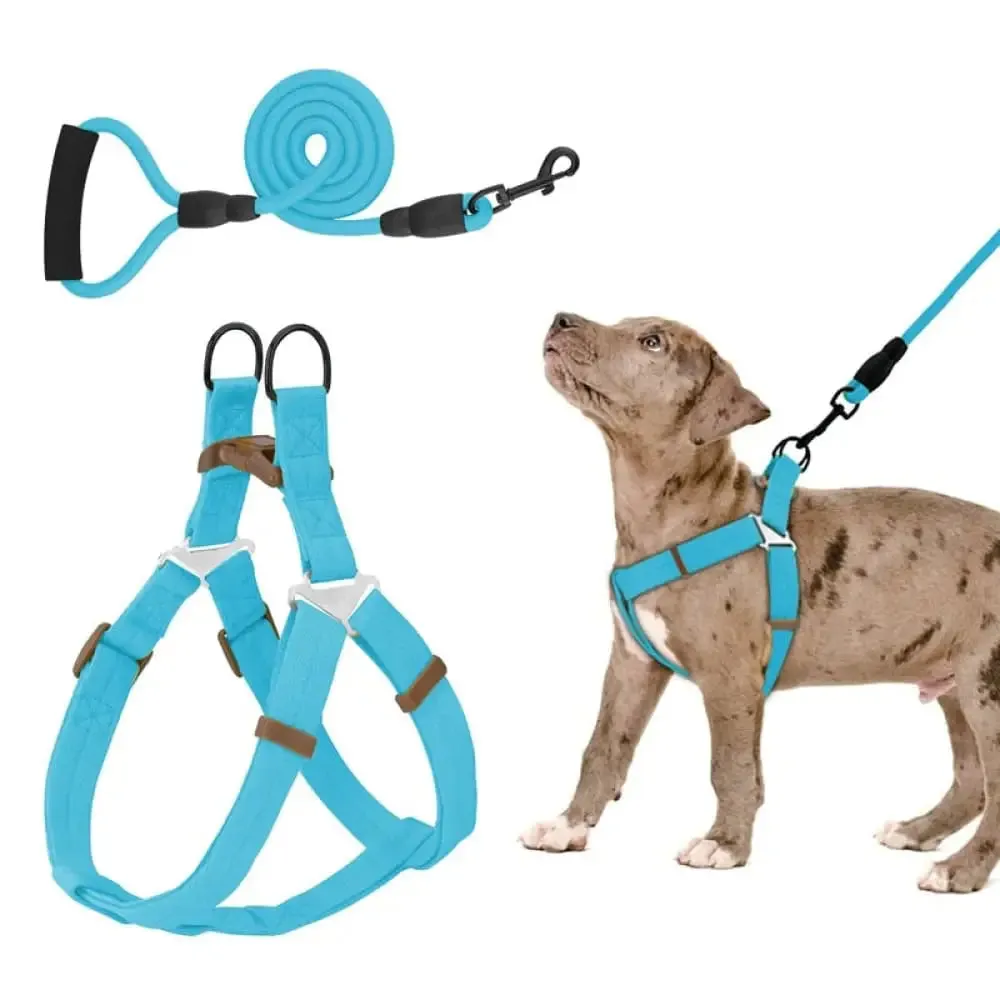 Adjustable Comfortable Neck Balance Pet Halter Harnesses Leash Set for Small Medium Large Dogs