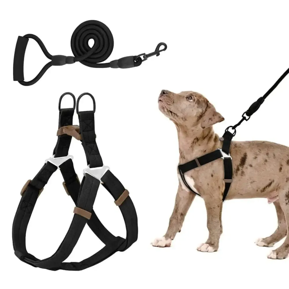 Adjustable Comfortable Neck Balance Pet Halter Harnesses Leash Set for Small Medium Large Dogs
