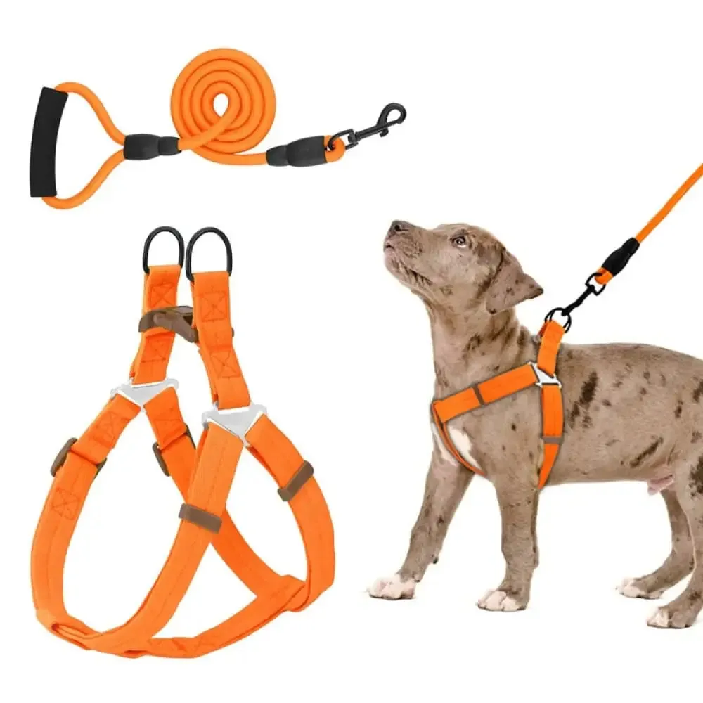 Adjustable Comfortable Neck Balance Pet Halter Harnesses Leash Set for Small Medium Large Dogs