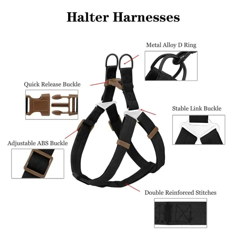 Adjustable Comfortable Neck Balance Pet Halter Harnesses Leash Set for Small Medium Large Dogs