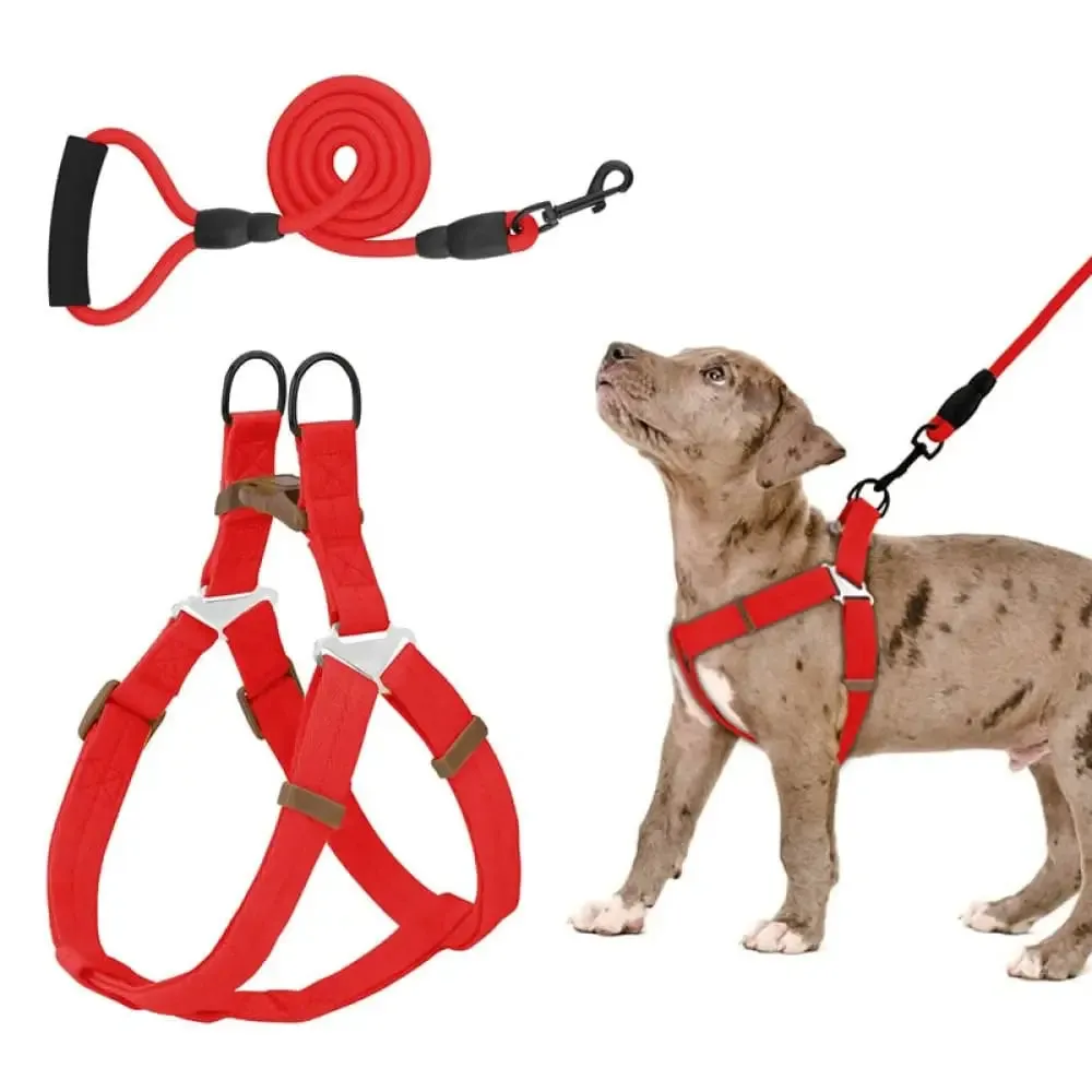 Adjustable Comfortable Neck Balance Pet Halter Harnesses Leash Set for Small Medium Large Dogs