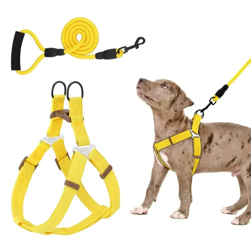 Adjustable Comfortable Neck Balance Pet Halter Harnesses Leash Set for Small Medium Large Dogs