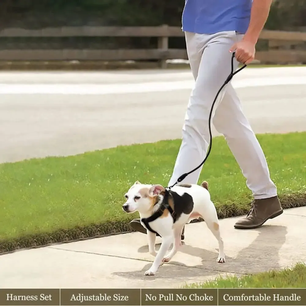Adjustable Comfortable Neck Balance Pet Halter Harnesses Leash Set for Small Medium Large Dogs