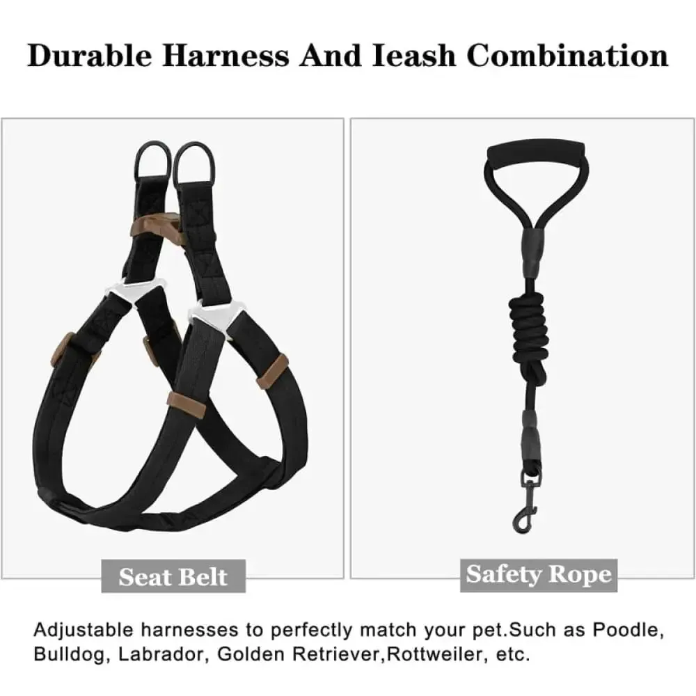 Adjustable Comfortable Neck Balance Pet Halter Harnesses Leash Set for Small Medium Large Dogs
