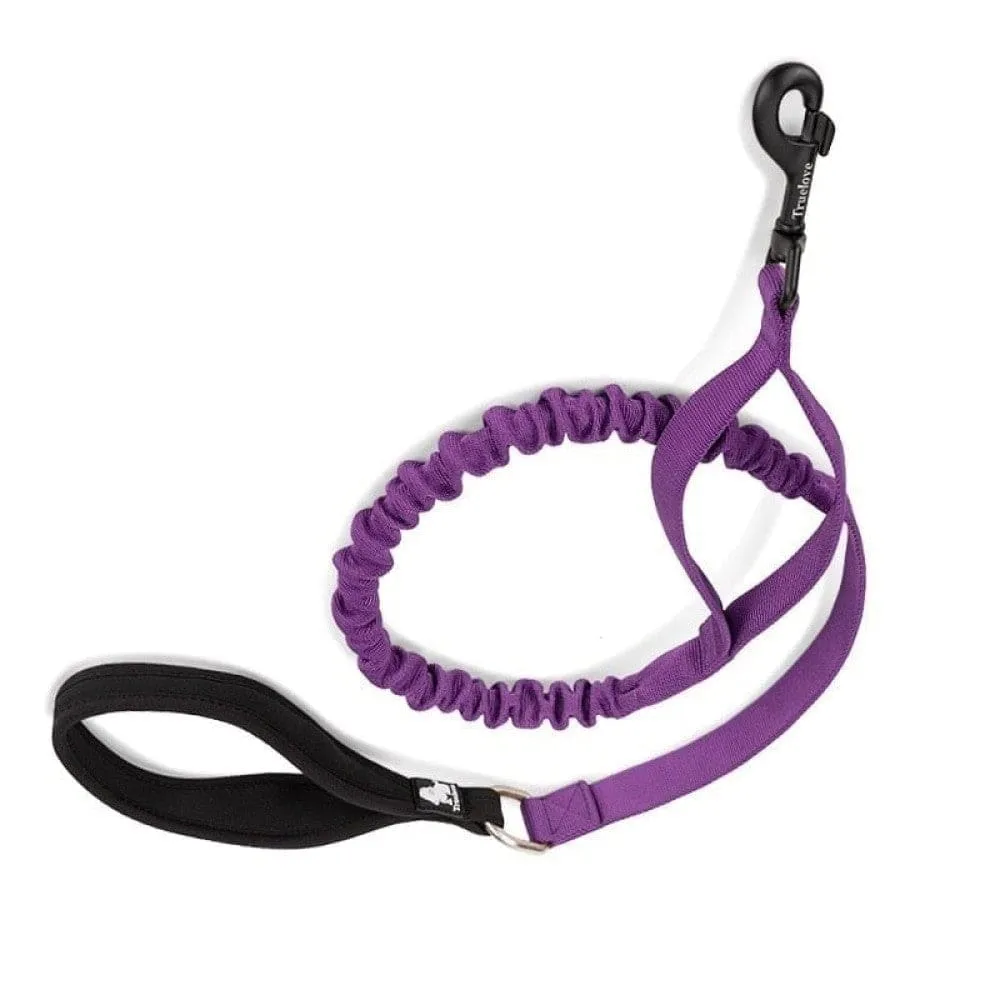 Cushioning Flexible Leash with Elastic Rope Control Large Fiercely