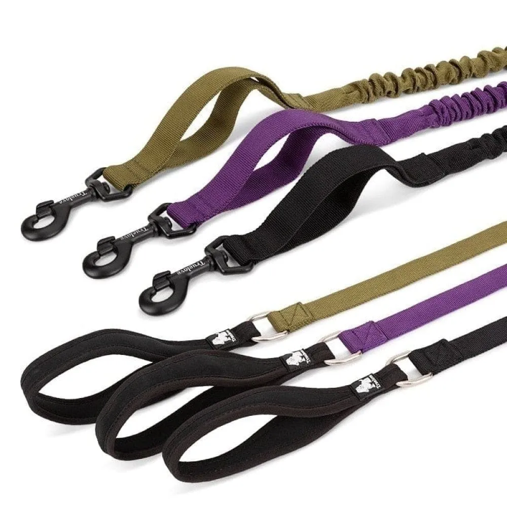 Cushioning Flexible Leash with Elastic Rope Control Large Fiercely
