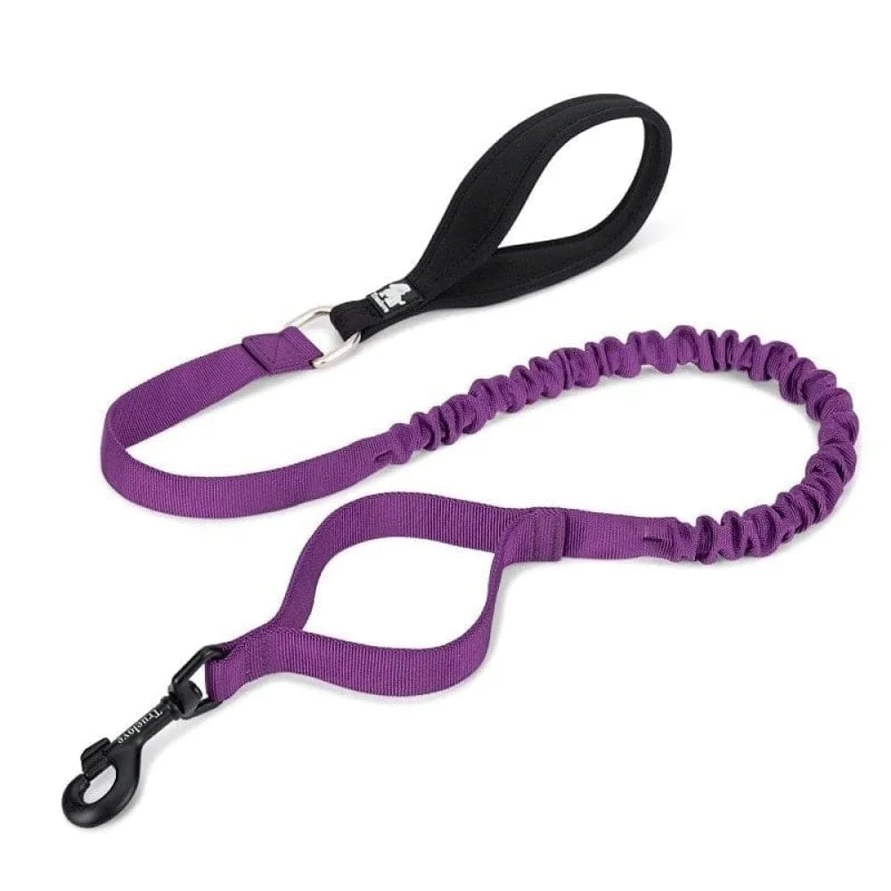Cushioning Flexible Leash with Elastic Rope Control Large Fiercely
