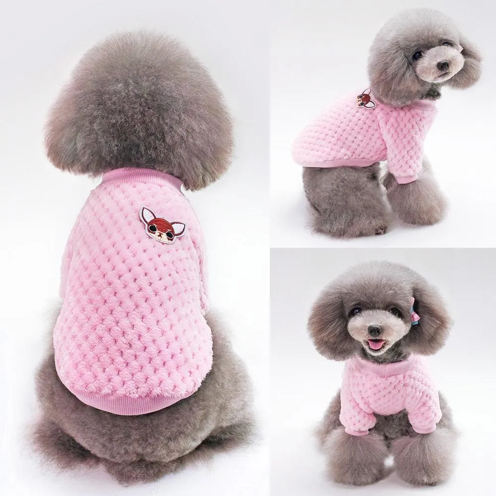 Cute Winter Clothes For Small Dogs