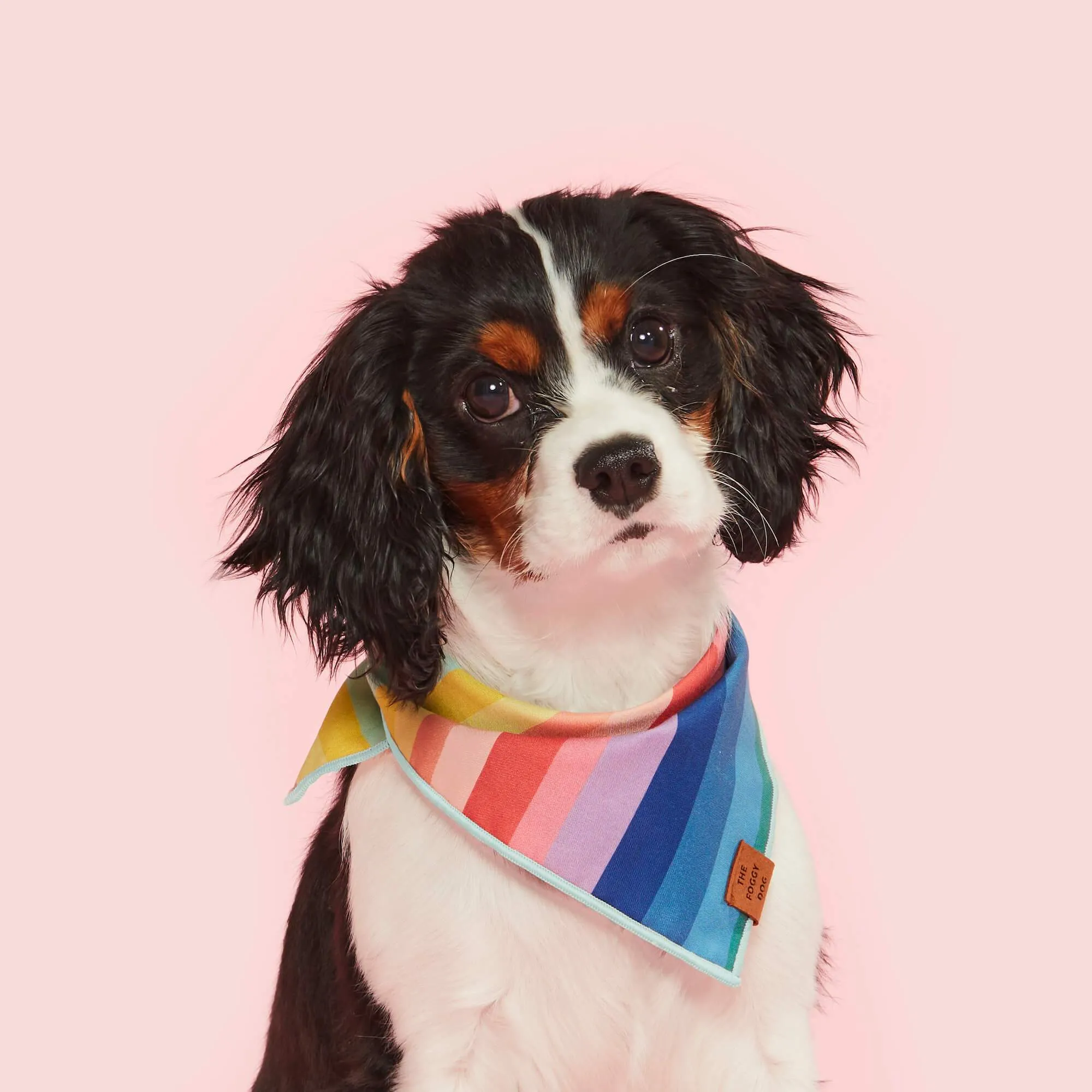 Over the Rainbow Dog Bandana Medium